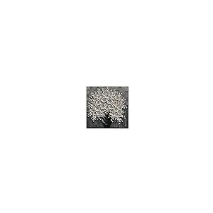 並行輸入品】Diathou 手描き 3D 花の絵画 白い花 黒い花瓶 60.96cm x