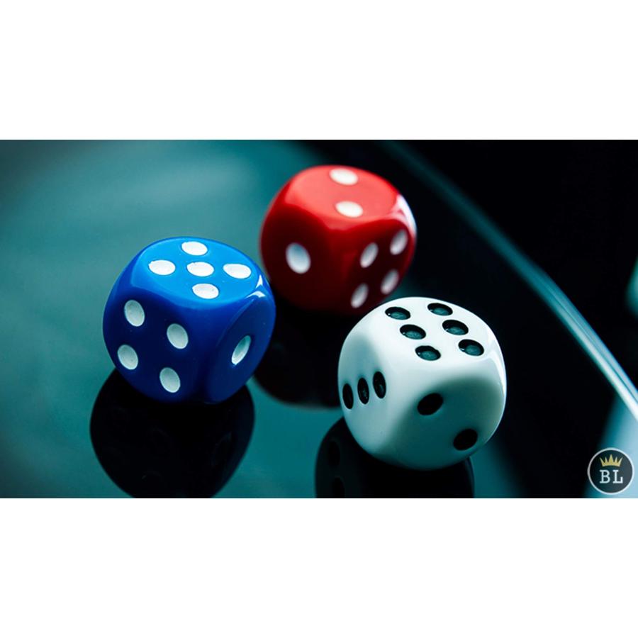 並行輸入品】Tony Anverdi Mental DICE (オンラインインストラクション 