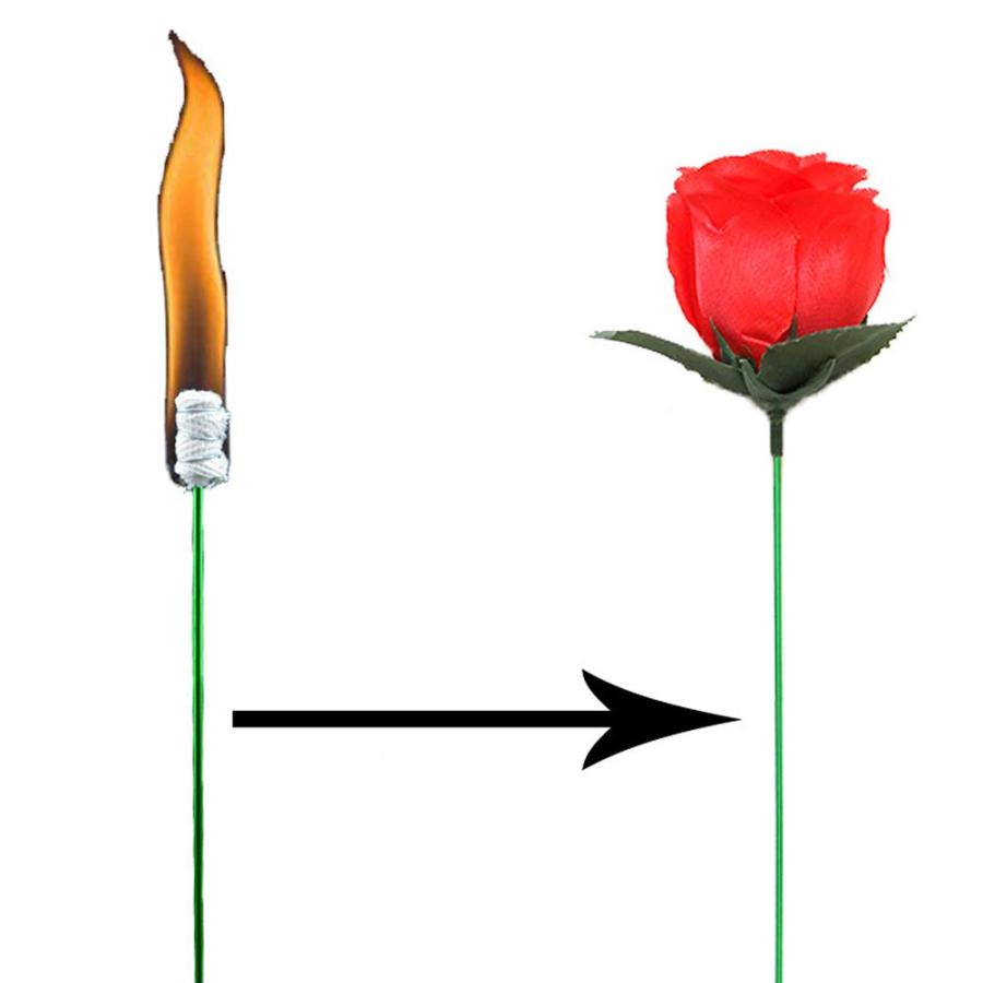 マジック道具✖️26品 並行輸入品】VANTIYAUS トーチからローズ (10個) ファイア