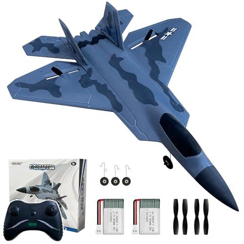 【楽ギフ_包装】 HAWK'S WORKラジコン飛行機、F 22 RC飛行機電動 されて簡単に ホビーラジコン