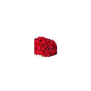 【並行輸入品】ENOVA HOME Artificial Hydrangea Silk Flowers Arrangements in Cub_8