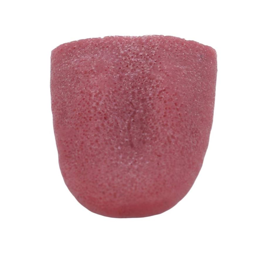 【並行輸入品】Mvude Halloween Fake Tongue Gross Jokes Prank Magic Tricks Horriの画像