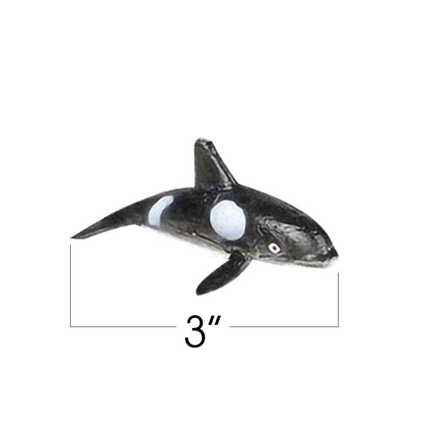 シャチ　歯　牙　希少品　骨董品　クジラ　イルカ　ハンドメイド クジラ 歯 シャチ イルカ 骨 骨董品 ハンドメイド トローリング