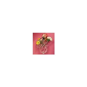 並行輸入品】花瓶 SELETTI LOVE IN BLOOM ガラスベース フラワーベース