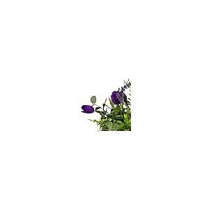 【並行輸入品】ENOVA HOME Silk Tulip Artificial Flower and Mixed Greenery in Cl_8