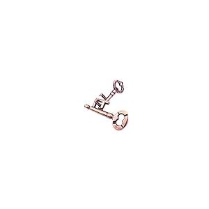 【並行輸入品】MAGIKON 伝統的な頭の体操 クラシカルパズル マジックトイ (鍵) MAGIKON Traditional Brain Te_2