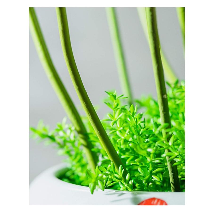 【並行輸入品】Artificial Flower in Pot Artificial Flowers with Vase Lotus Fakeの画像