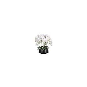 【並行輸入品】Artificial Flower in Pot Orchids Artificial Silk Flowers Phalaenの画像