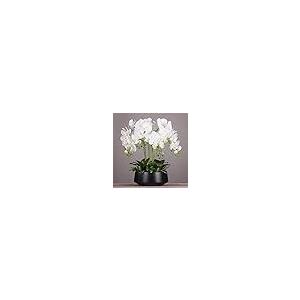 【並行輸入品】Artificial Flower in Pot Orchids Artificial Silk Flowers Phalaenの画像