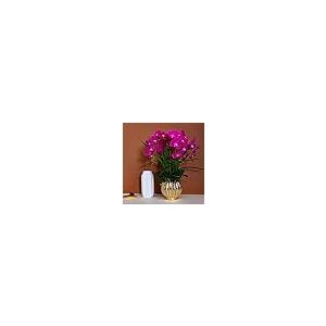 【並行輸入品】Artificial Flower in Pot Phalaenopsis Orchids Artificial Flowersの画像