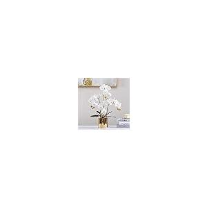 【並行輸入品】Artificial Flower in Pot Faux Phalaenopsis Flower Arrangement， A_2