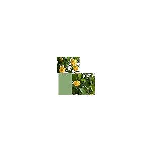【並行輸入品】XIANGGUI 1983 Artificial Flowers Artificial Flowers Outdoor,90cmの画像