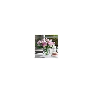 【並行輸入品】Enova 花瓶付き造花 アレンジメント、花瓶にフェイクフラワー、人工リアルタッチチューリップとフェイクシルクピオニーフラワーの花_5
