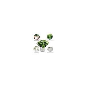 【並行輸入品】Enova フローラル人工鉢植え植物、ホワイトセラミックポット付き小型人工ユーカリ草、フェイクウォーター付き人工鉢植え植え植物、室_5