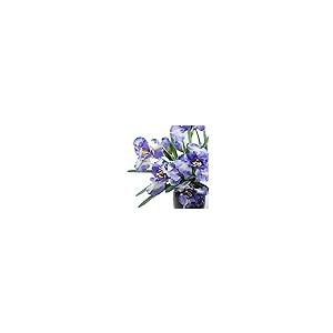 【並行輸入品】Xidmold 4 バンドル 12 ヘッド フラワー ブーケ ロングステム リアルタッチ シルク 人工アイルランド アイリッシュ_2