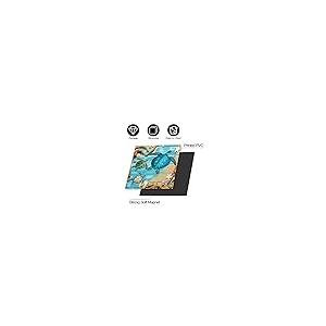 Sea Turtles Vinyl Magnets for Fridge Dishwasher Panel Decal,Star 並行輸入品｜allinone-d｜09