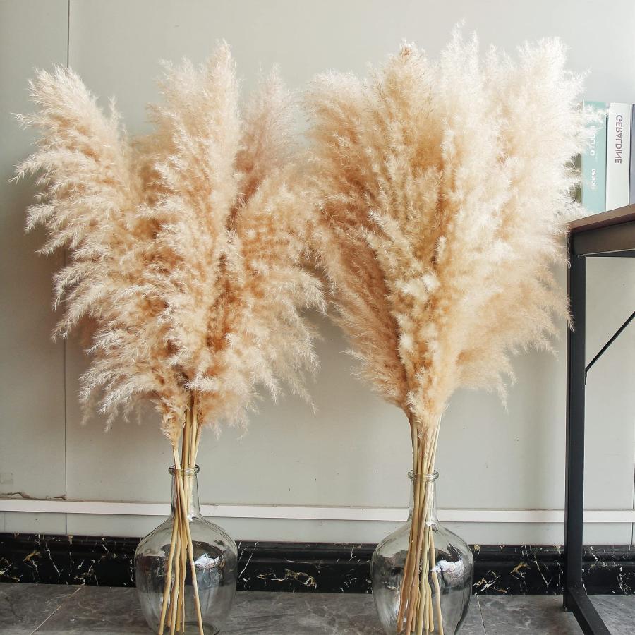 ms Natural Pampas Grass Decor Tall, pompas Grass, Tall Pampas Gra 並行輸入品 | 