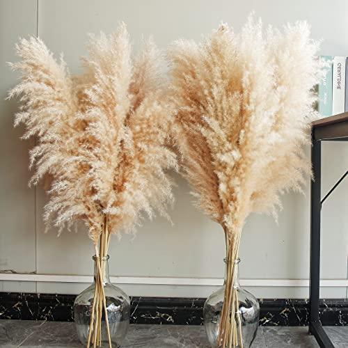 ms Natural Pampas Grass Decor Tall, pompas Grass, Tall Pampas Gra 並行輸入品 |  | 01