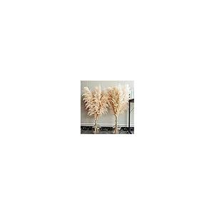 ms Natural Pampas Grass Decor Tall, pompas Grass, Tall Pampas Gra 並行輸入品 |  | 02