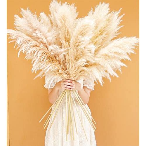 ms Natural Pampas Grass Decor Tall, pompas Grass, Tall Pampas Gra 並行輸入品 |  | 04