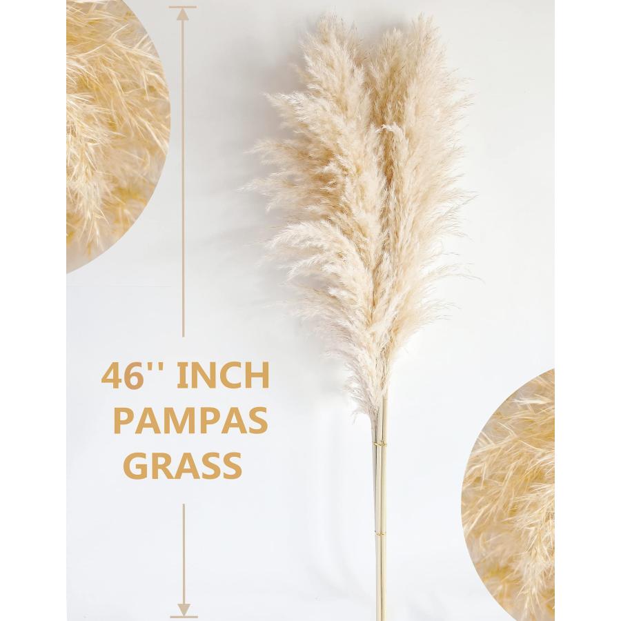 ms Natural Pampas Grass Decor Tall, pompas Grass, Tall Pampas Gra 並行輸入品 |  | 06