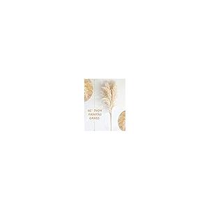 ms Natural Pampas Grass Decor Tall, pompas Grass, Tall Pampas Gra 並行輸入品 |  | 08