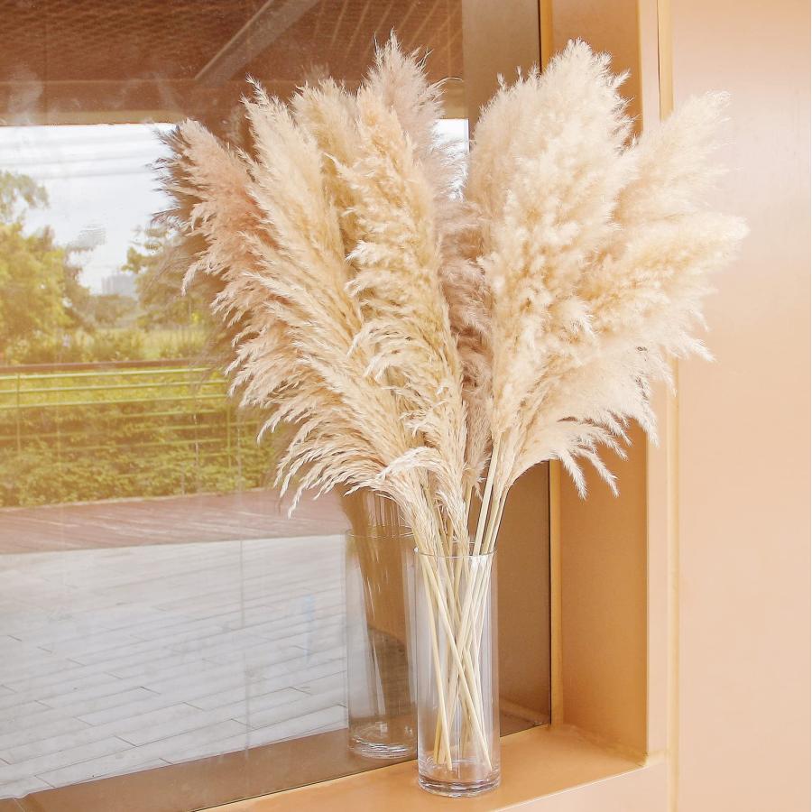 ms Natural Pampas Grass Decor Tall, pompas Grass, Tall Pampas Gra 並行輸入品 |  | 09