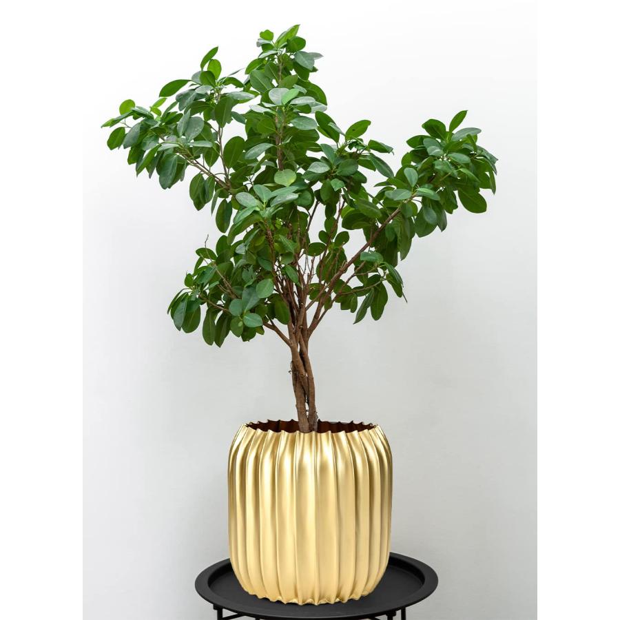 【並行輸入品】Serene Spaces Living リブ付きゴールドメタル花瓶 装飾円筒形花瓶 センターピース用花瓶 家庭、オフィス、結婚式_3