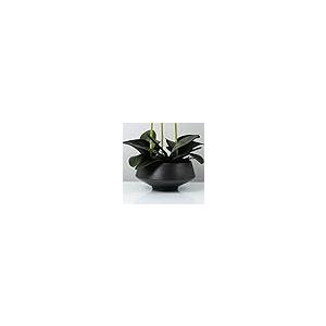 【並行輸入品】Flowers 3 Heads White Artificial Orchid Flowers with Black Vaseの画像