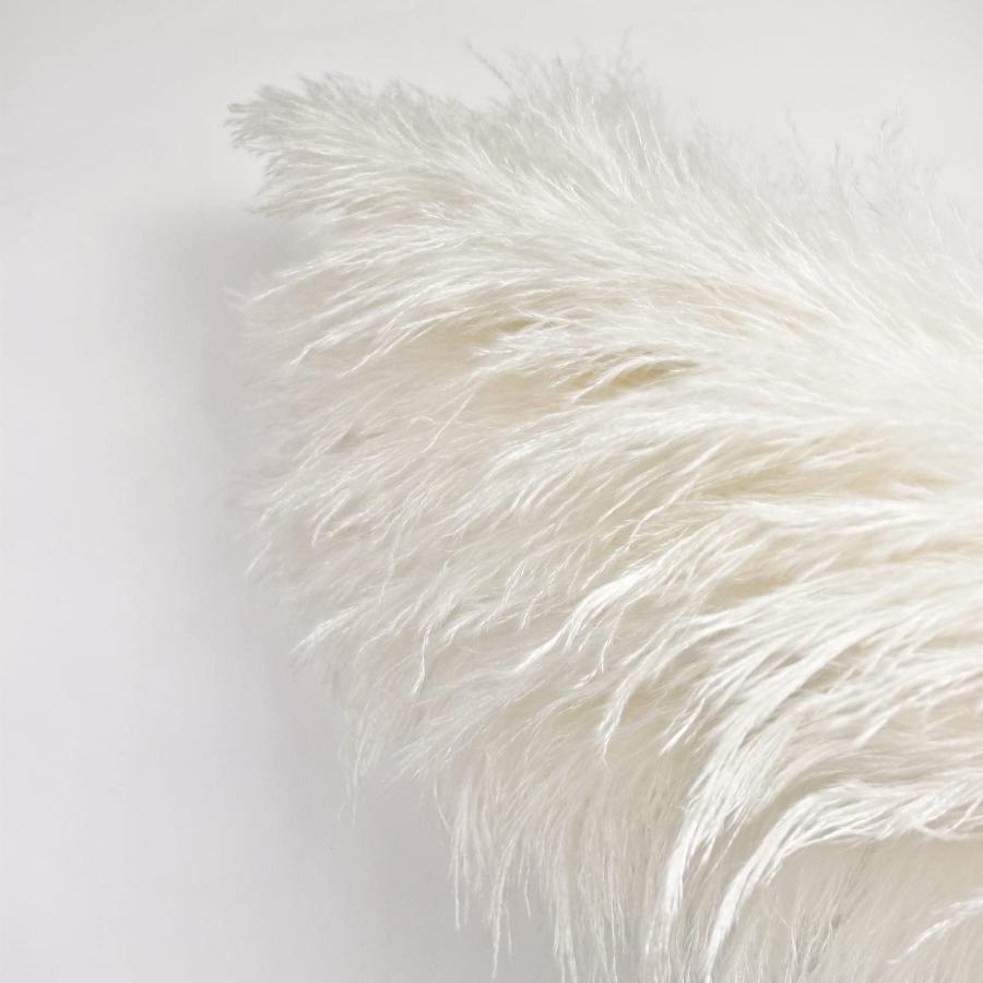 Fluffy パンパスグラス Fluffy パンパスグラス Amazon.co.jp
