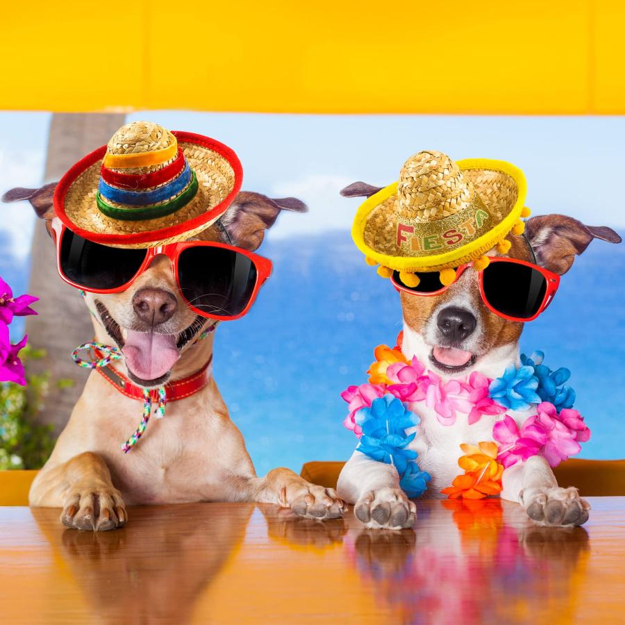 【並行輸入品】Sonarun 18 Pieces Mexican Sombrero Headbands Cinco De Mayo Hat Hの画像