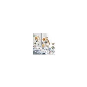 並行輸入品】Glasseam(グラスシーム) トールクリアシリンダー花瓶 大型