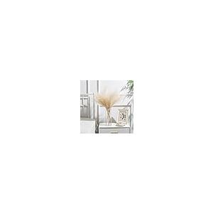 並行輸入品】Glasseam(グラスシーム) トールクリアシリンダー花瓶 大型