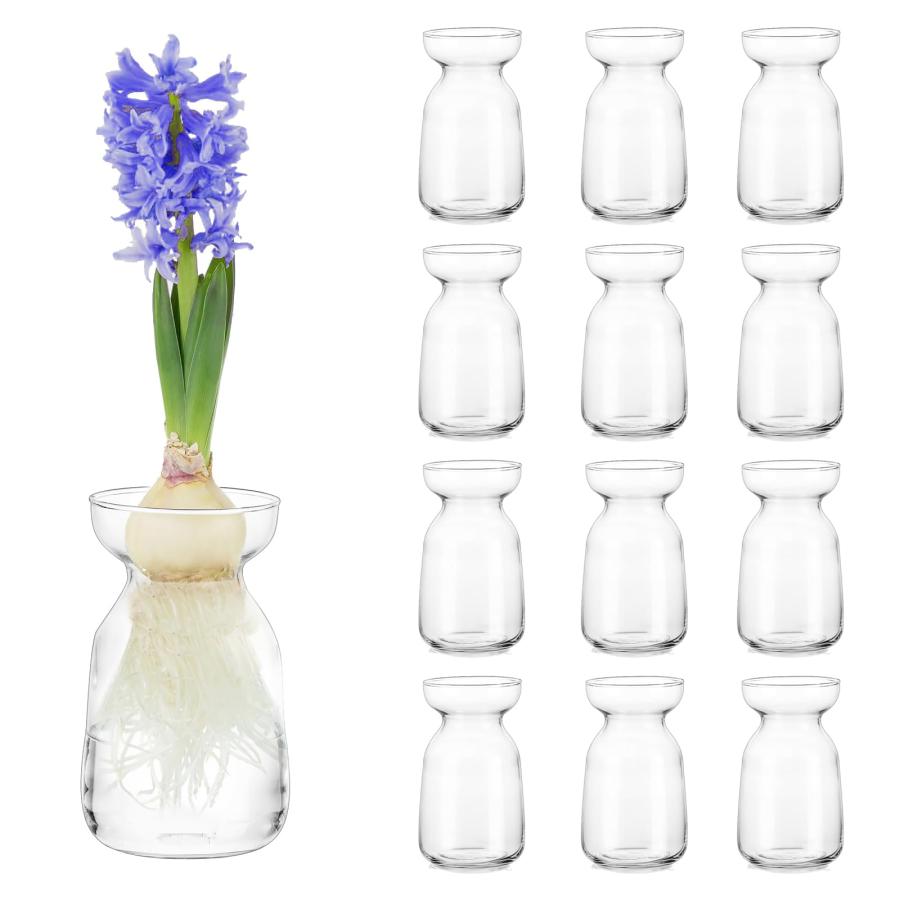 並行輸入品】Hewory ヒヤシンス アボカド 成長するつぼみ 花瓶 バルク