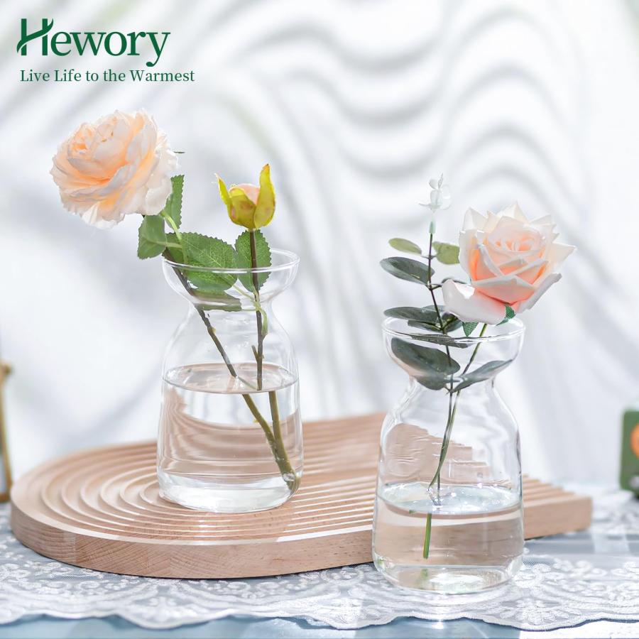 並行輸入品】Hewory ヒヤシンス アボカド 成長するつぼみ 花瓶 バルク