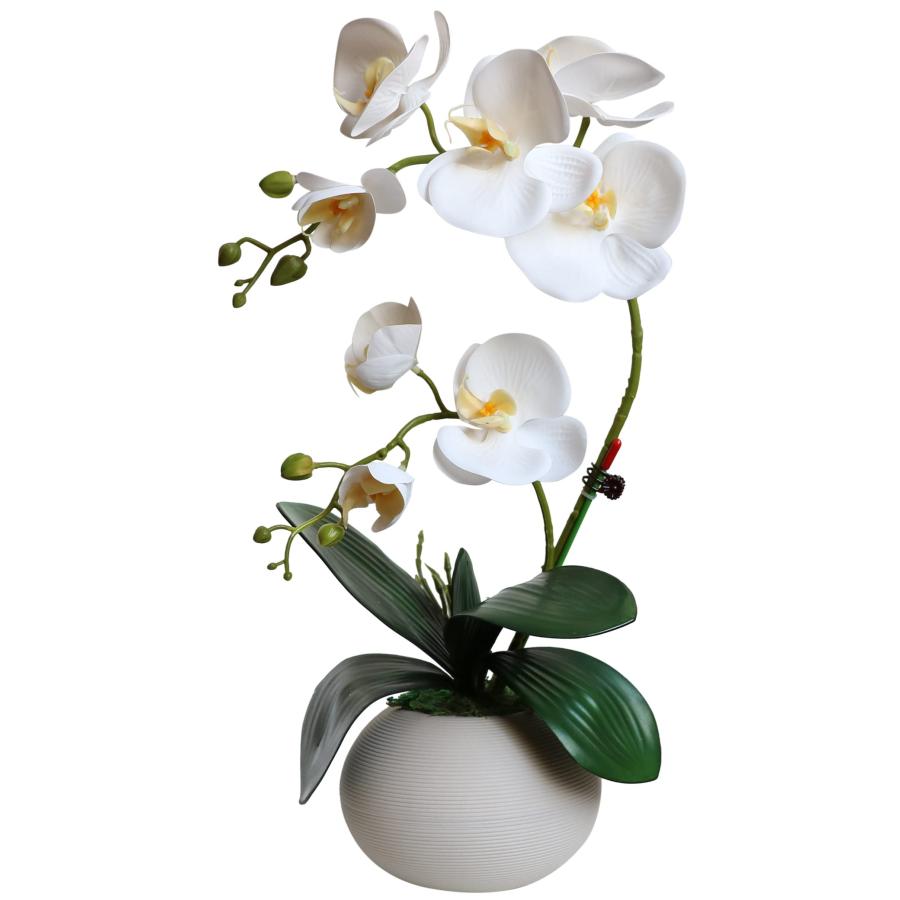 【並行輸入品】Forlaoers ホワイトオーキッド 造花 セラミック花瓶 胡蝶蘭 フェイク植物 ホーム リビングルーム 装飾 バスルーム装飾_2
