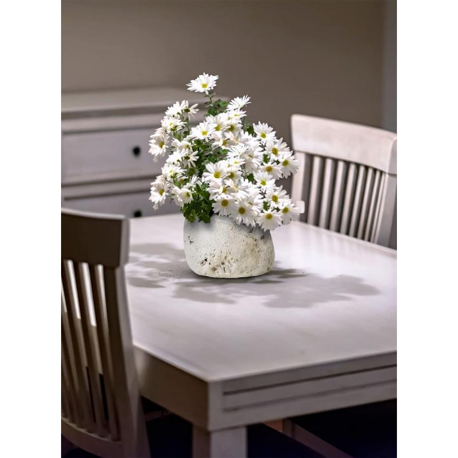 並行輸入品】Serene Spaces Living 天然軽石骨壺花瓶 テクスチャード