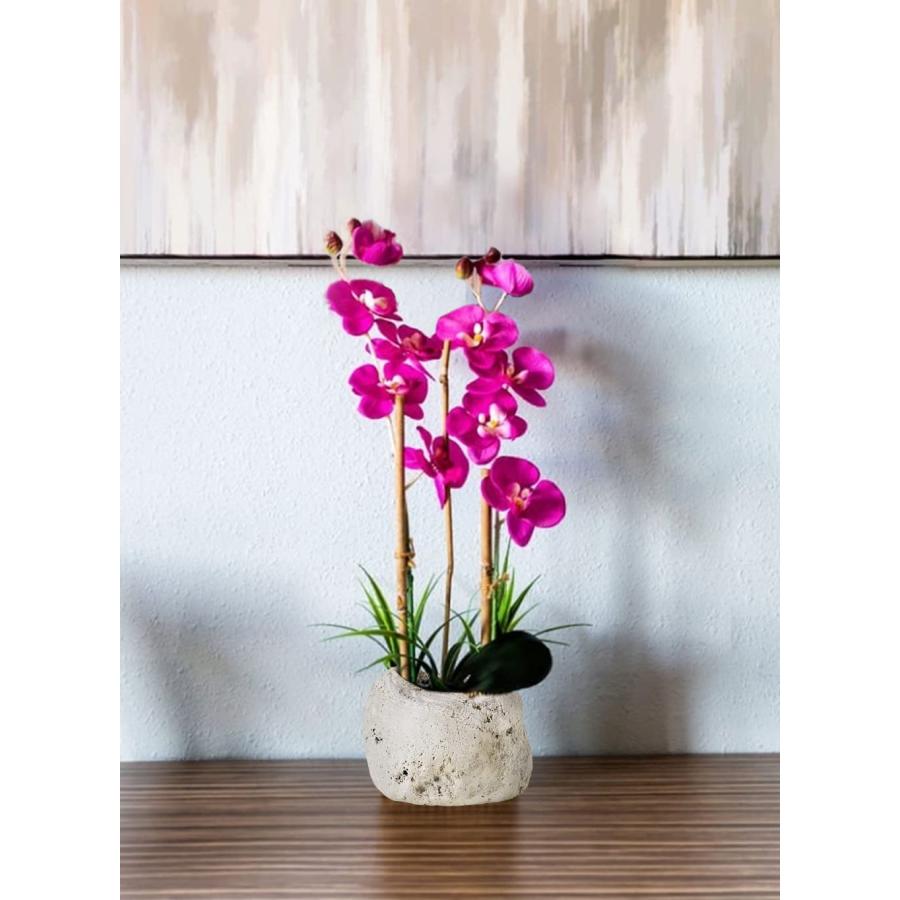 花瓶、壺 Amazon.co.jp: 青磁 耳付きすかし壺芸泉特大（高さ64cm）壺
