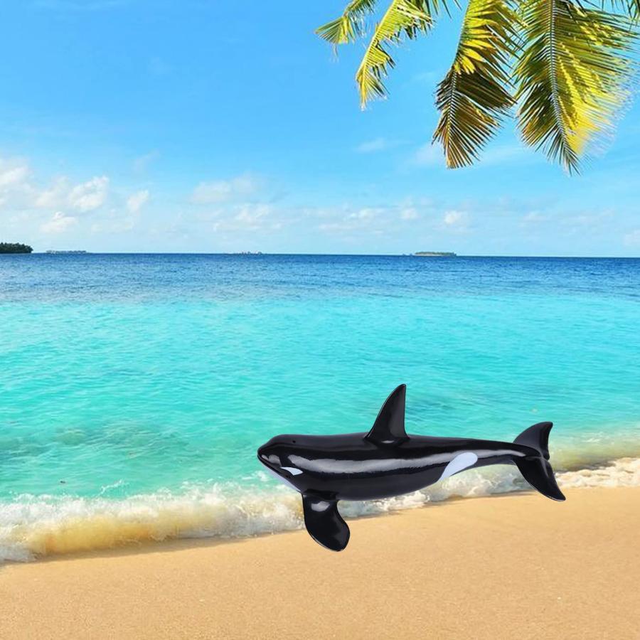 シャチです。 並行輸入品】Momoplay シャチ 海洋生物 アクションフィギュア