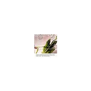 【並行輸入品】Handbag Vases for Flowers， Cute Bag Vase Glass Purse Unique Vase_8