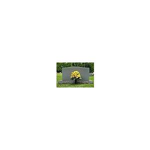 【並行輸入品】Plastic Grave Vase for Cemetery Flowers   Sturdy Spikes Plasticの画像