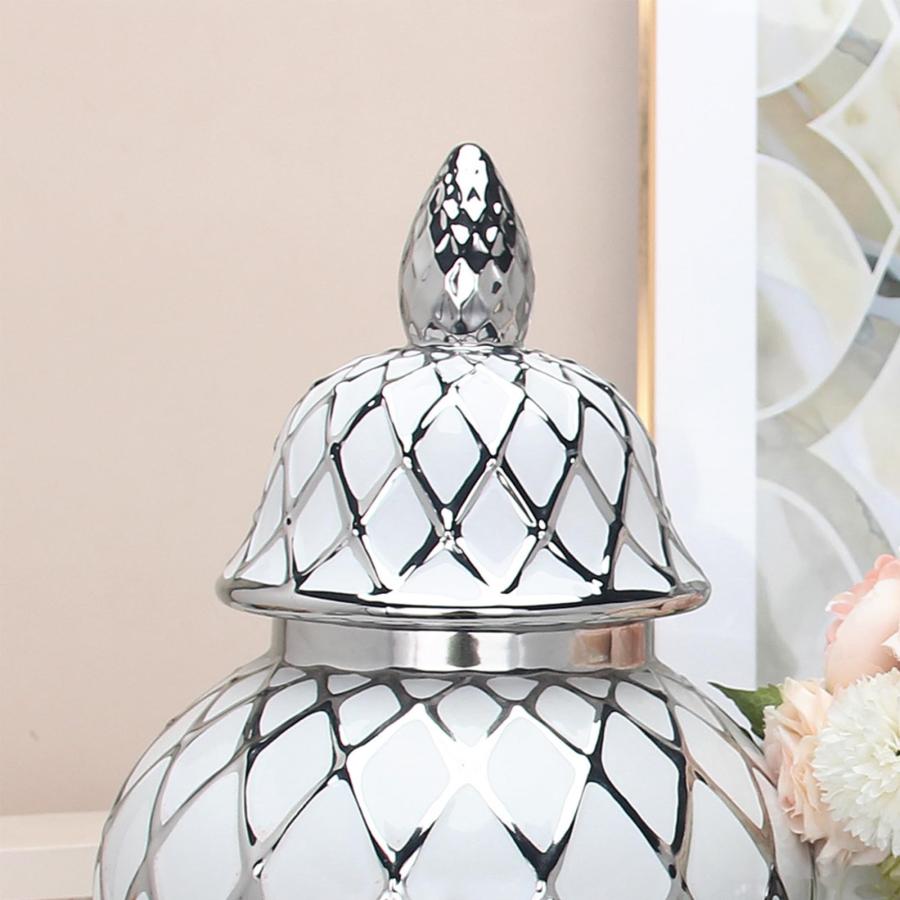 【並行輸入品】Eudatrwe Ceramic Ginger Jar Vase Temple Jars with Lid Flower Vas_6