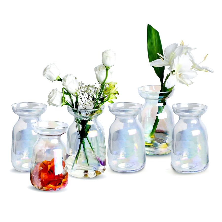 【並行輸入品】センターピース用ガラス花瓶 6個セット 花用の小さな花瓶 (カラフルなつぼみの花瓶コースター6枚とかわいいピンクのスポンジブラシ3 | 