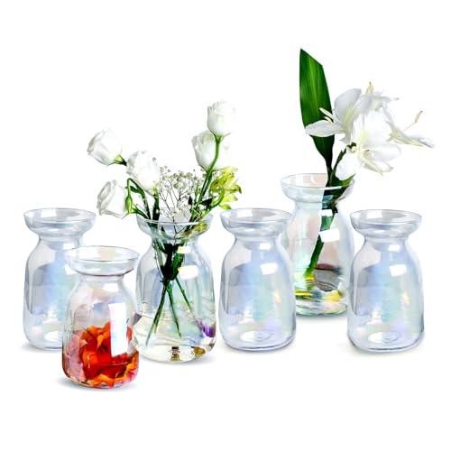 【並行輸入品】センターピース用ガラス花瓶 6個セット 花用の小さな花瓶 (カラフルなつぼみの花瓶コースター6枚とかわいいピンクのスポンジブラシ3 |  | 01