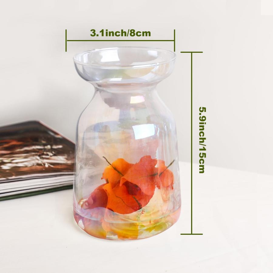 【並行輸入品】センターピース用ガラス花瓶 6個セット 花用の小さな花瓶 (カラフルなつぼみの花瓶コースター6枚とかわいいピンクのスポンジブラシ3 |  | 03