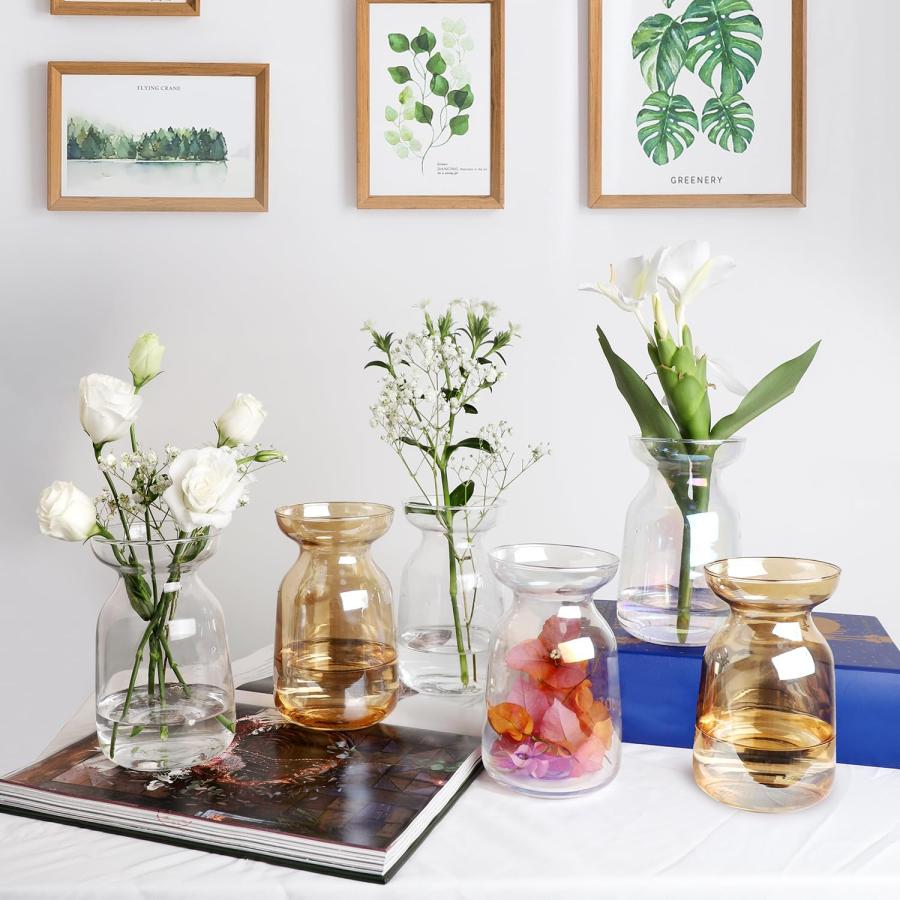 【並行輸入品】センターピース用ガラス花瓶 6個セット 花用の小さな花瓶 (カラフルなつぼみの花瓶コースター6枚とかわいいピンクのスポンジブラシ3 |  | 09