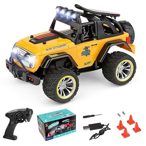 ラジコンカー　ドリフト仕様 Amazon.co.jp: LDR/C 1/18ドリフトカー NSXラジコンカー RWD後輪