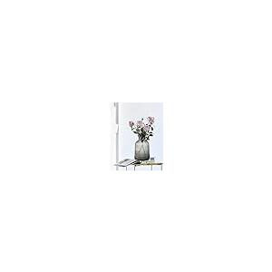【並行輸入品】Vase for Flowers Large Large Vases Home Decor Floor， Cut Glass V_6