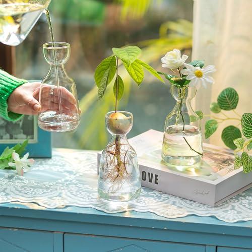 Glasseamアボカドガラスつぼみ花瓶 どんぐり電球 強制花瓶 6個 Glasseamアボカドガラスつぼみ花瓶 どんぐり電球 強制花瓶 6個