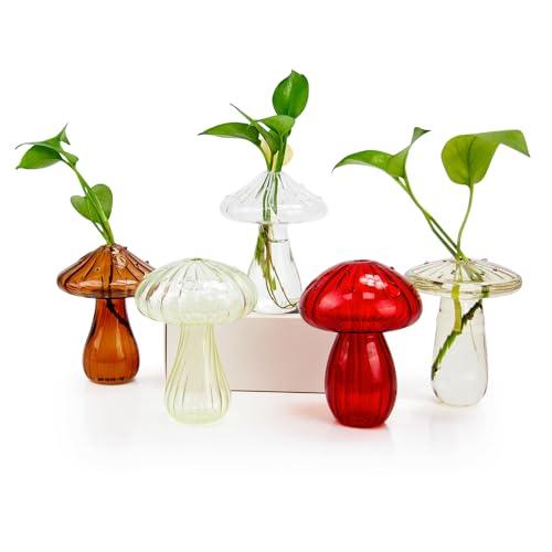 【並行輸入品】OEC T5 5個 キノコ花瓶 クリア植物繁殖ステーション 色付きガラス 水耕栽培 屋内プランター リビングルーム フラワーアレン